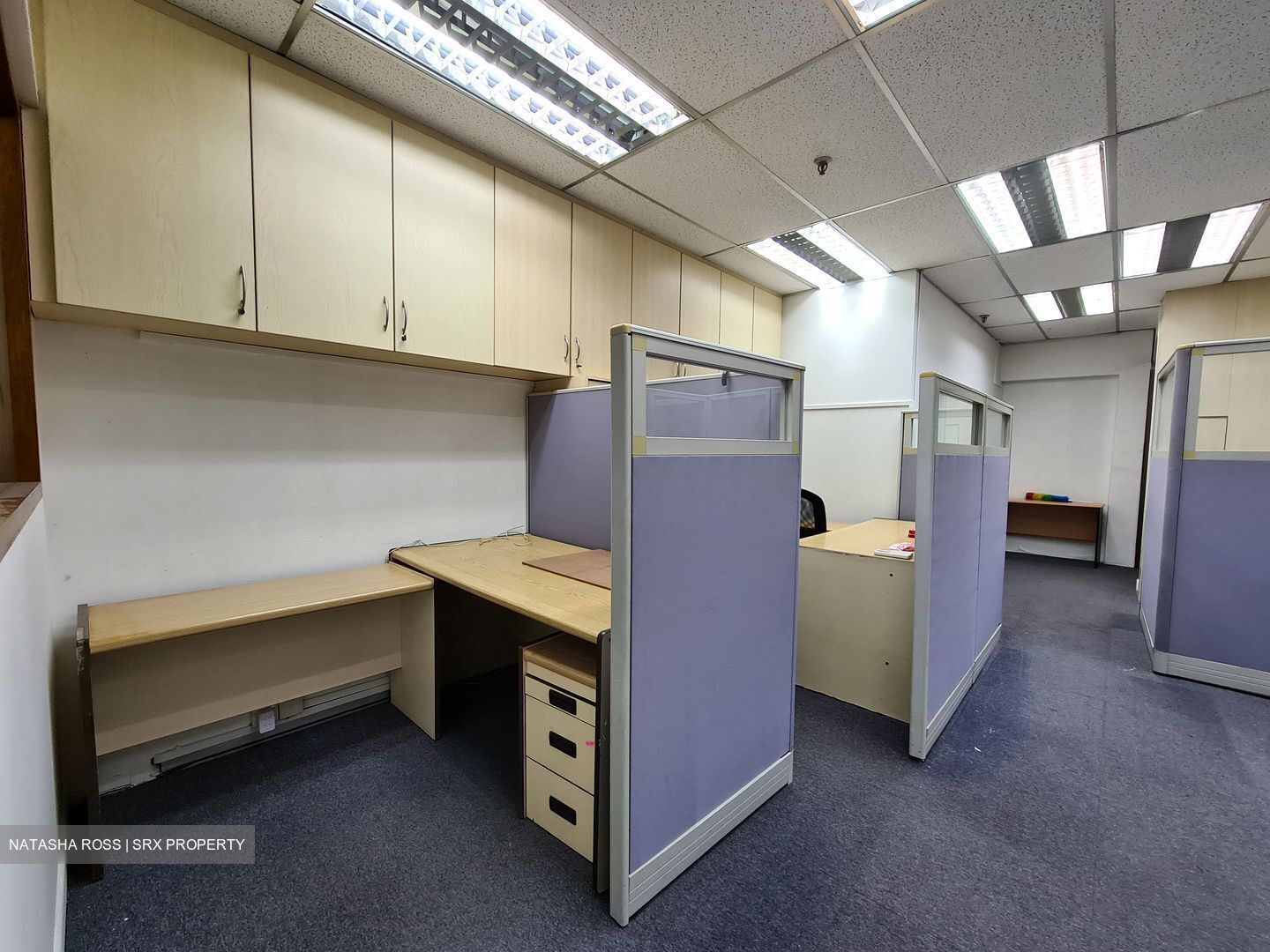 Da Jin Factory Building (D19), Office #520219821